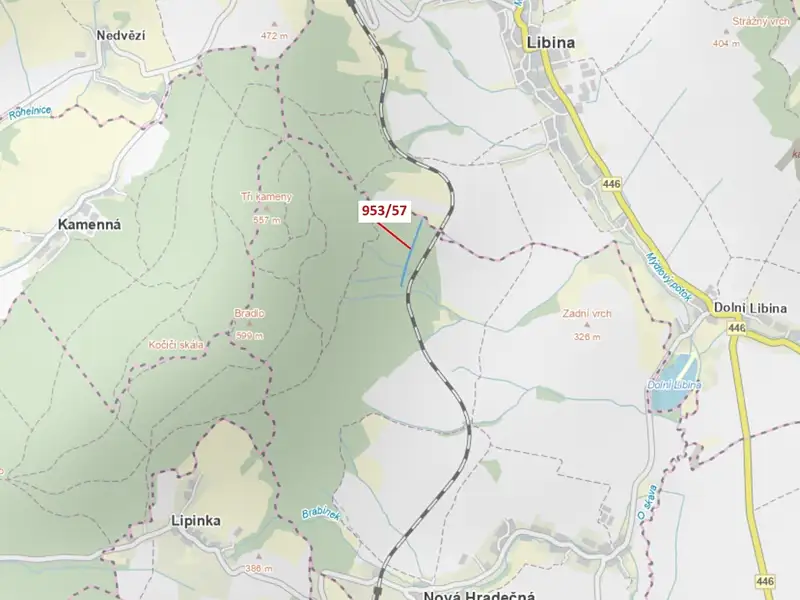 Dražba lesa 6750 m², Nová Hradečná – náhled fotky 1