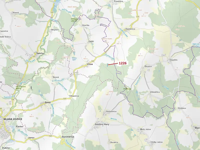 Dražba lesa 3593 m², Vilice – náhled fotky 1