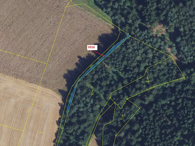 Dražba lesa 327 m², Bělá nad Svitavou – náhled fotky 2