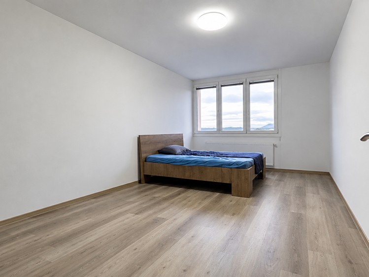 Prodej bytu 3+1, 77 m² (6 z 19)