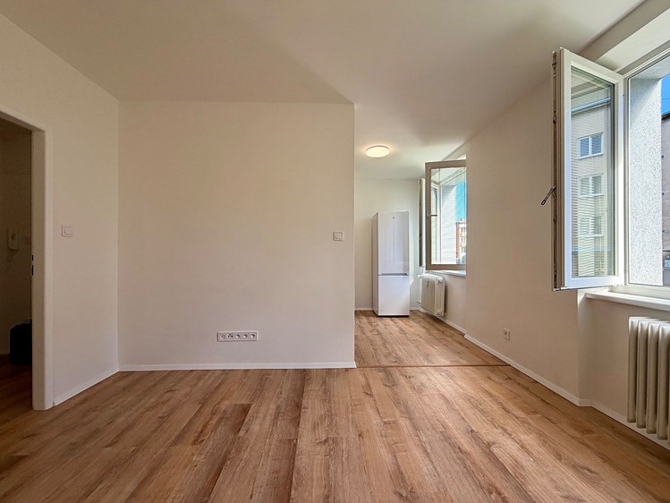 Wohnung 3+1 zur Miete, 63 m² (4 von 16)