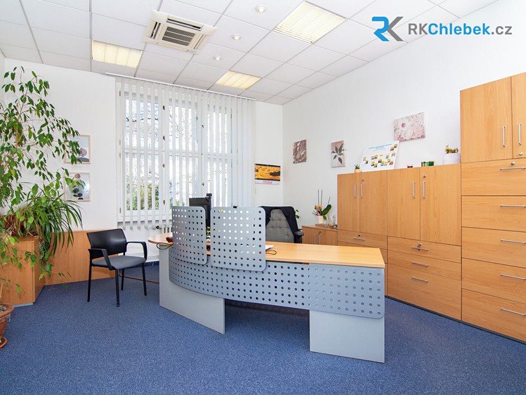 Комерційне приміщення в оренду, 380 м² (6 з 13)