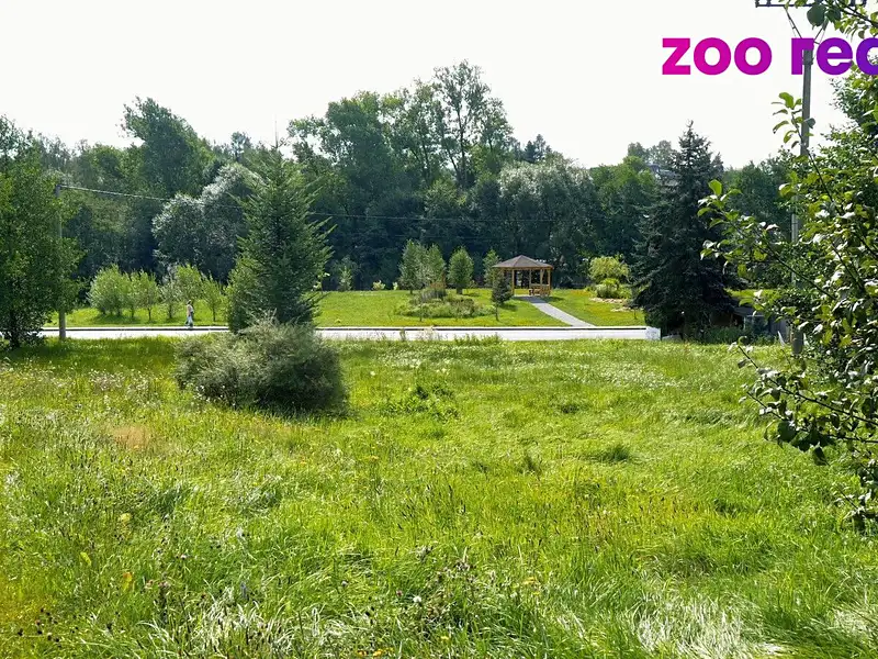 Prodej stavebního pozemku 2518 m², Herálec – náhled fotky 3