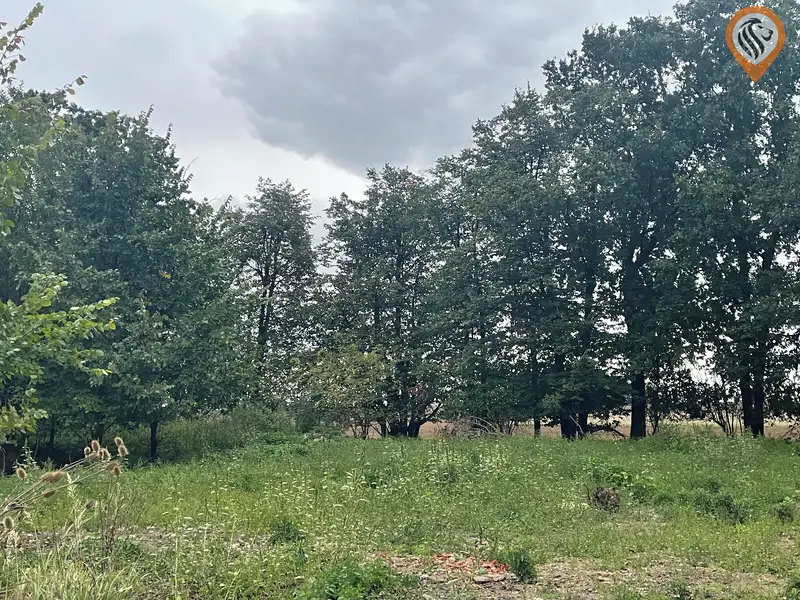 Prodej pole 51051 m², Úhonice – náhled fotky 1