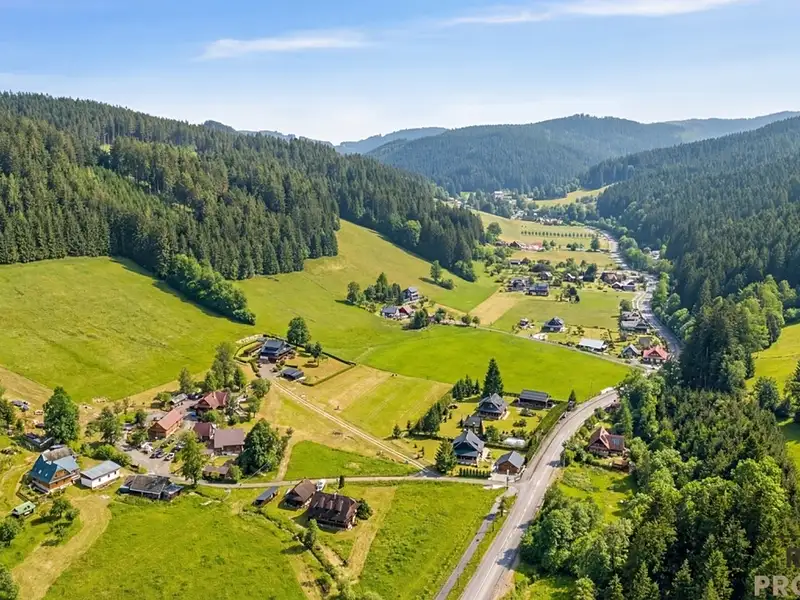 Prodej stavebního pozemku 17000 m², Velké Karlovice – náhled fotky 3