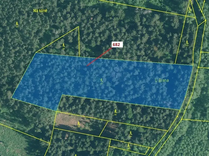 Dražba lesa 11584 m², Kuřimany – náhled fotky 2