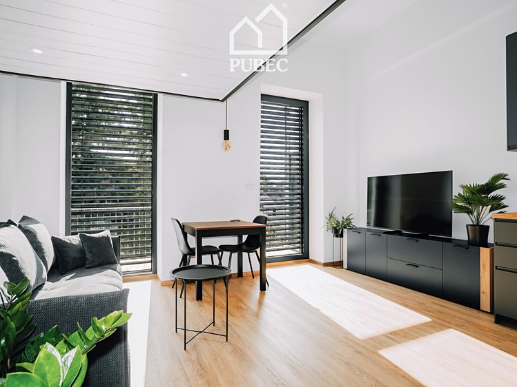 Wohnung 1+kk zur Miete, 40 m² (4 von 25)