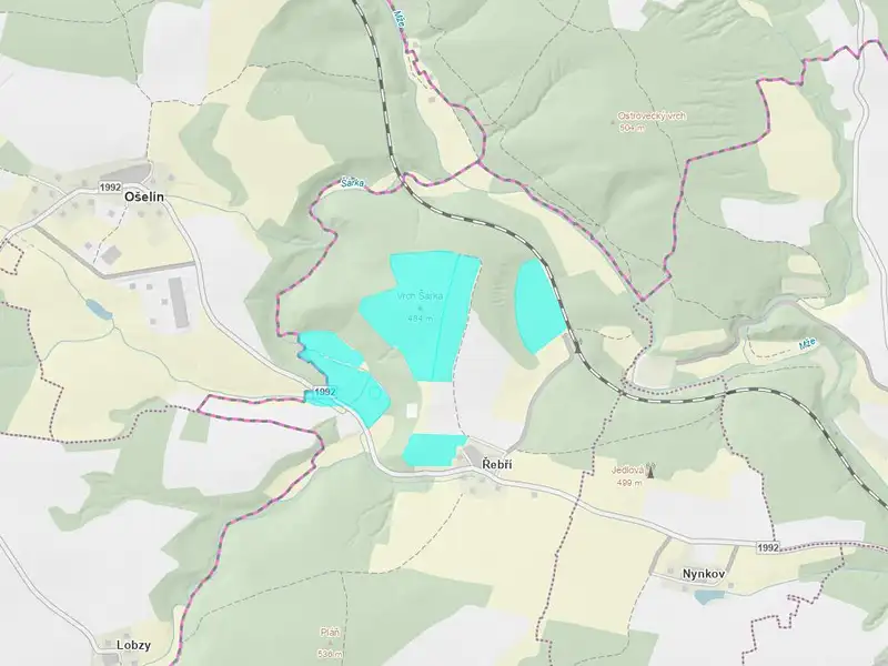 Dražba pozemku 385333 m², Svojšín – náhled fotky 1