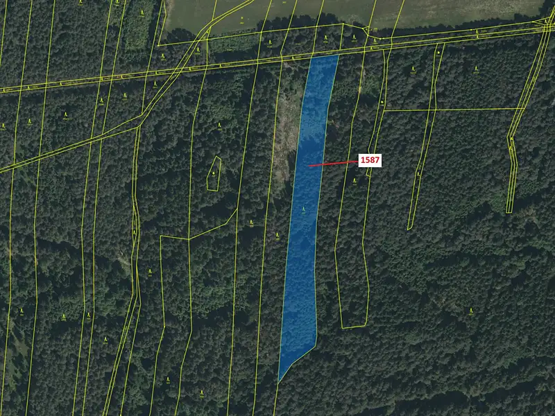 Dražba lesa 11125 m², Nová Bystřice – náhled fotky 2
