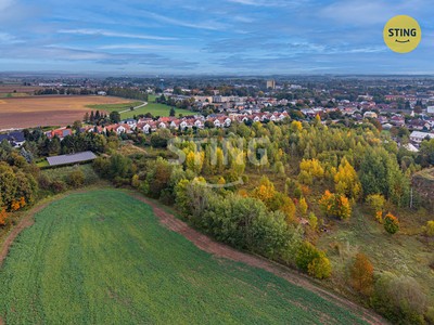 Ділянка на продаж, 63 998 м² (3 з 19)