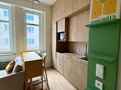 Wohnung 1+kk zur Miete, 26 m² (2 von 5)