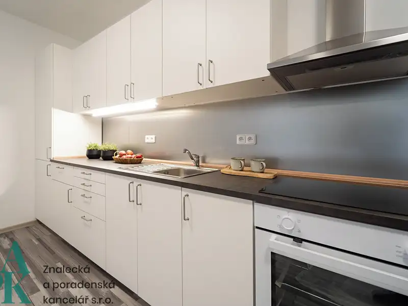 Pronájem bytu 1+kk 55 m², Ústí nad Labem – náhled fotky 2