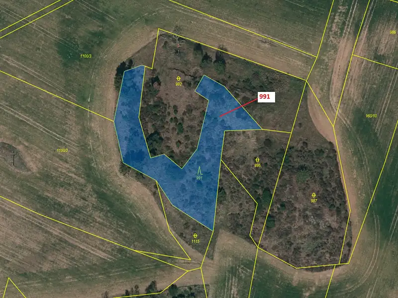 Dražba lesa 2183 m², Třebíč – náhled fotky 2