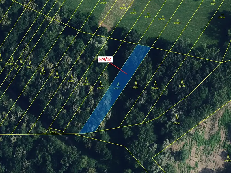 Dražba lesa 1205 m², Přerov – náhled fotky 2