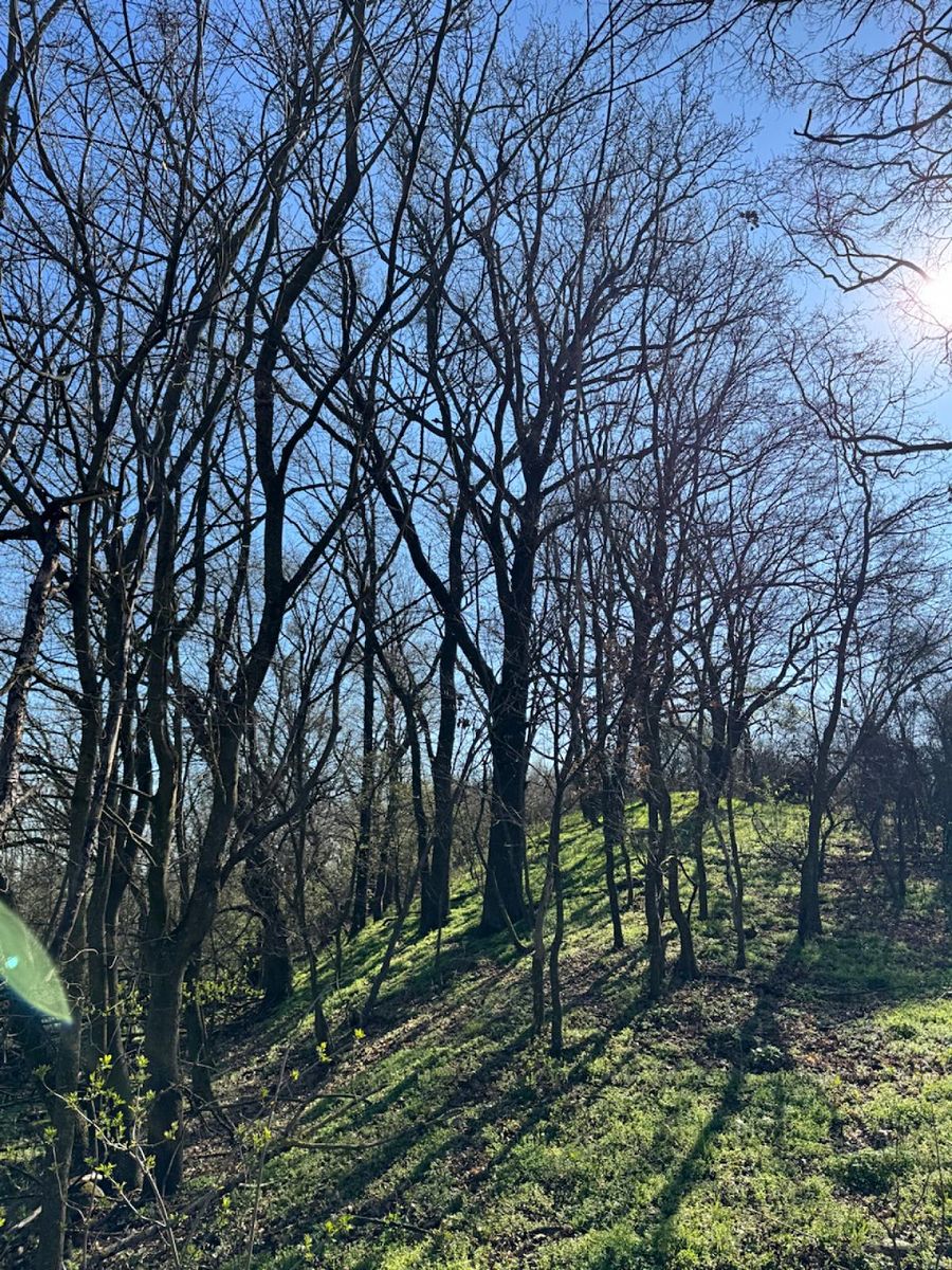 Prodej pozemku 7710 m², Jevišovice – fotka 1 z 3