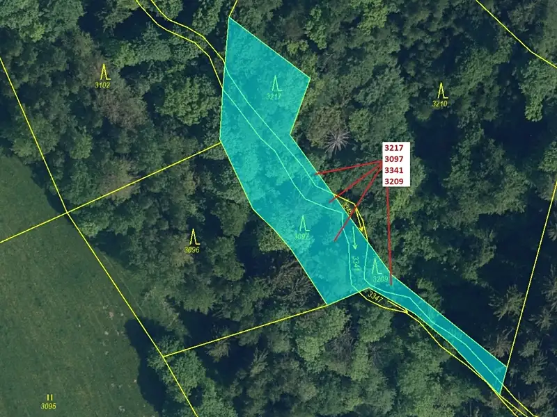 Dražba lesa 1649 m², Benešov u Semil – náhled fotky 2