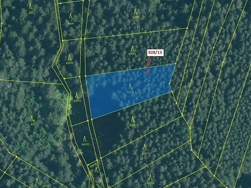 Dražba lesa 1803 m², Hosty – náhled fotky 2
