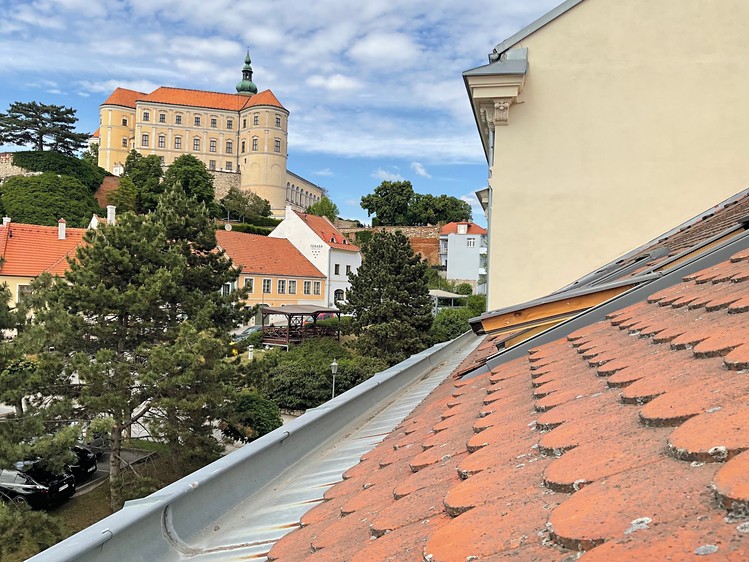 Ostatní