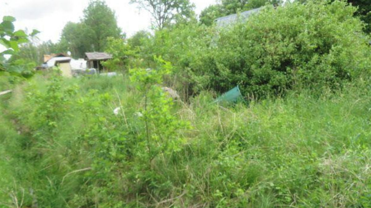 Dražba louky 796 m², Plesná – fotka 1 z 3