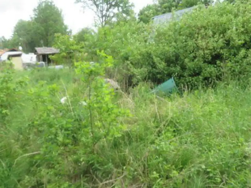 Dražba louky 796 m², Plesná – náhled fotky 1