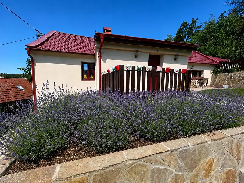 Prodej rodinného domu 166 m², pozemek 2576 m², Krňany – náhled fotky 1