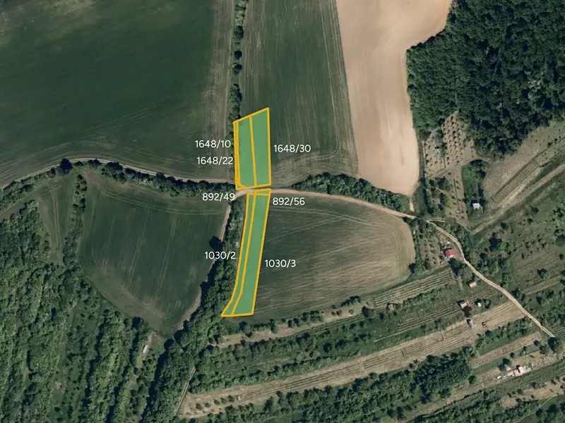 Prodej pole 14142 m², Kyjov – náhled fotky 1