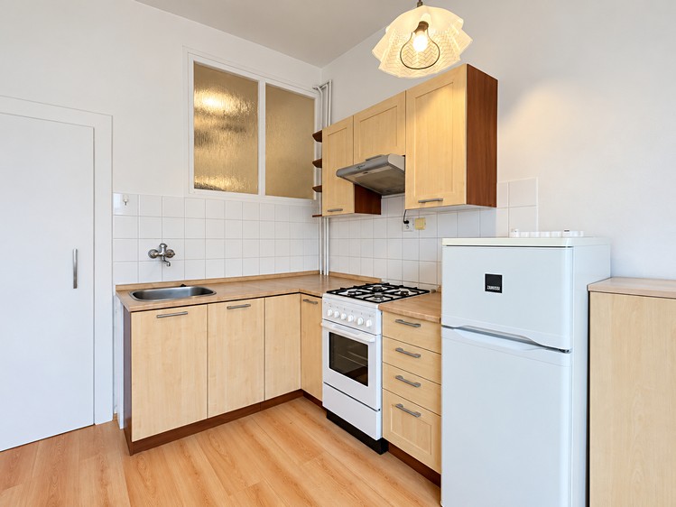 Wohnung 1+1 zur Miete, 45 m² (2 von 30)