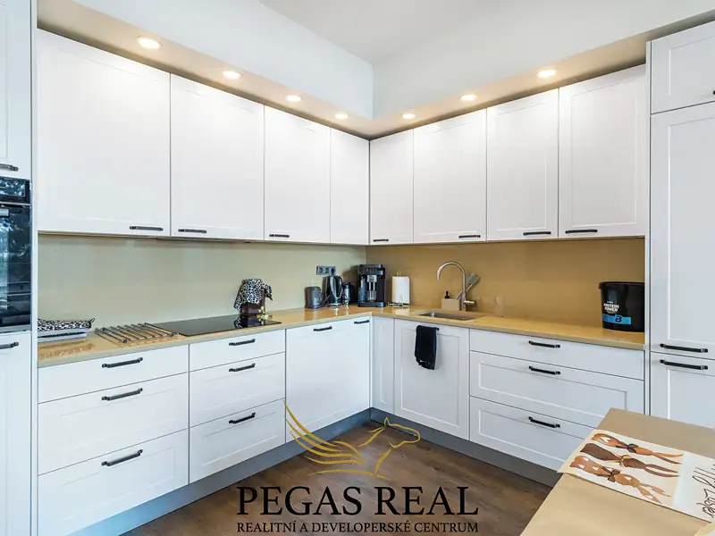 Prodej bytu 2+kk 57 m², Brno – náhled fotky 1