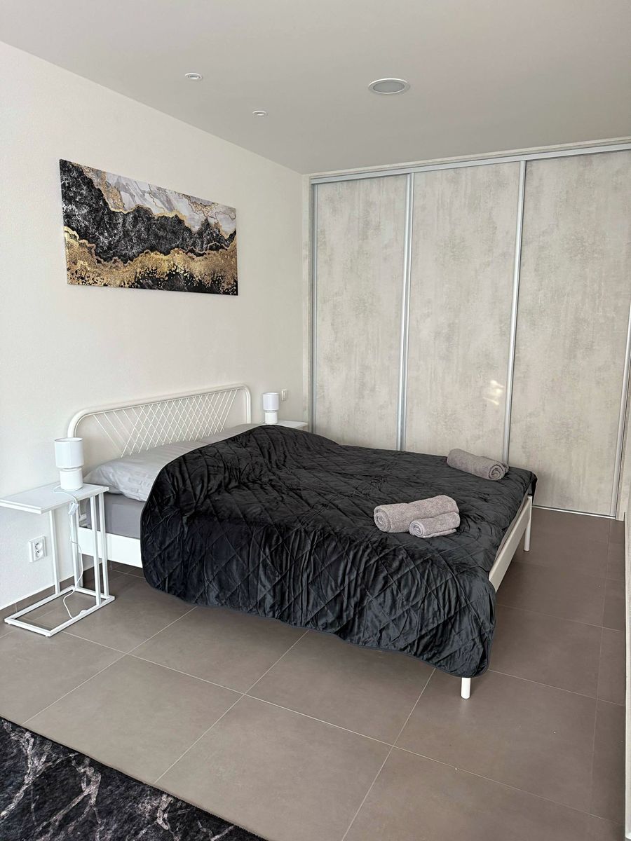 Pronájem bytu 1+kk 50 m² – fotografie 3