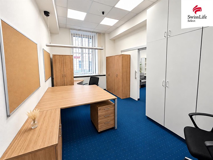 Pronájem komerčního prostoru, 151 m² (5 z 15)