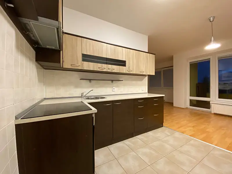 Pronájem bytu 1+kk 59 m², Hlučín – náhled fotky 1