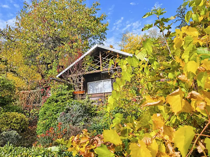 Prodej chaty 15 m², pozemek 550 m², Trutnov – náhled fotky 1