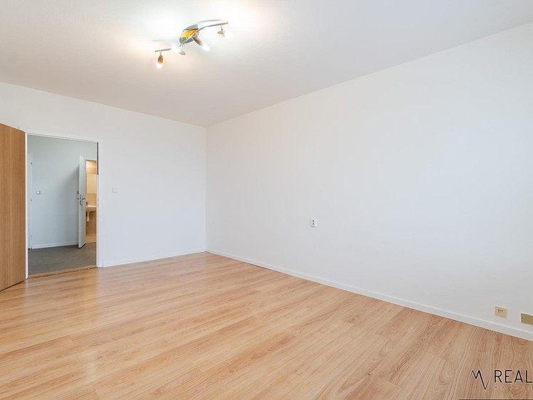 Pronájem bytu 3+1, 66 m² (4 z 16)