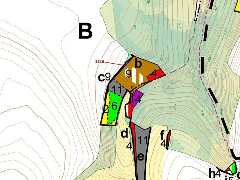 Dražba lesa 327 m², Bělá nad Svitavou – náhled fotky 3
