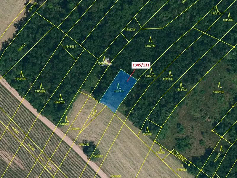 Dražba lesa 432 m², Morašice – náhled fotky 2