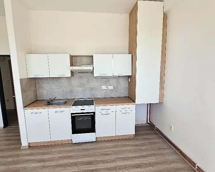 Pronájem bytu 2+kk 50 m², Mlékojedy – náhled fotky 3