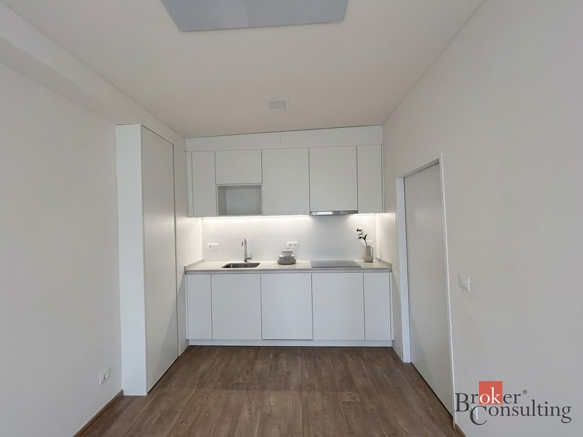 Pronájem bytu 1+kk 33 m²