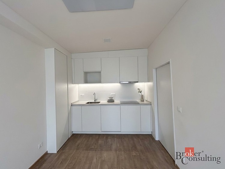 Wohnung 1+kk zur Miete, 33 m² (1 von 4)