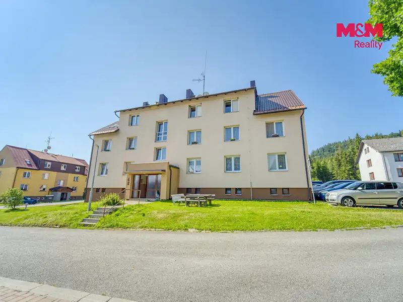 Prodej bytu 3+1 70 m², Borová Lada – náhled fotky 3