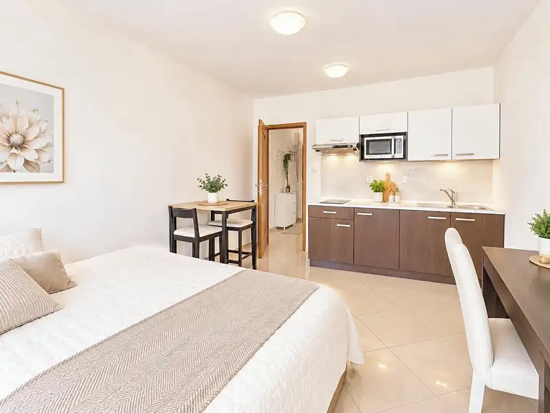 Prodej bytu 1+kk 29 m², Brno – náhled fotky 2