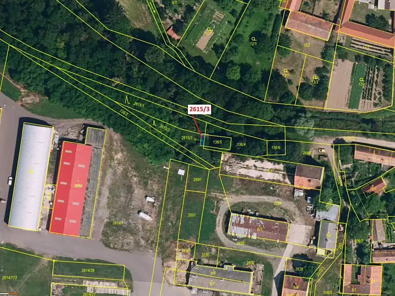 Dražba lesa 13 m², Horní Dunajovice – náhled fotky 2