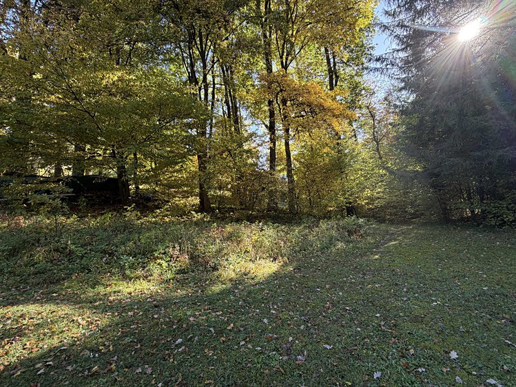Prodej pozemku, 1 471 m² (4 z 6)