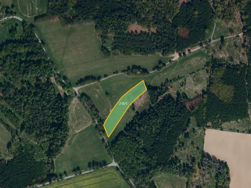 Prodej pole 4812 m², Kaliště – náhled fotky 1