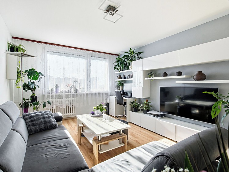 Prodej bytu 3+1, 64 m² (3 z 21)