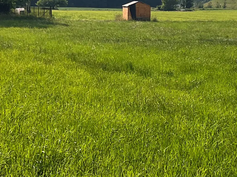 Prodej stavebního pozemku 1044 m², Dobrá – náhled fotky 1
