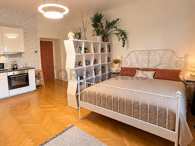 Pronájem bytu 1+kk 36 m², Praha – náhled fotky 1