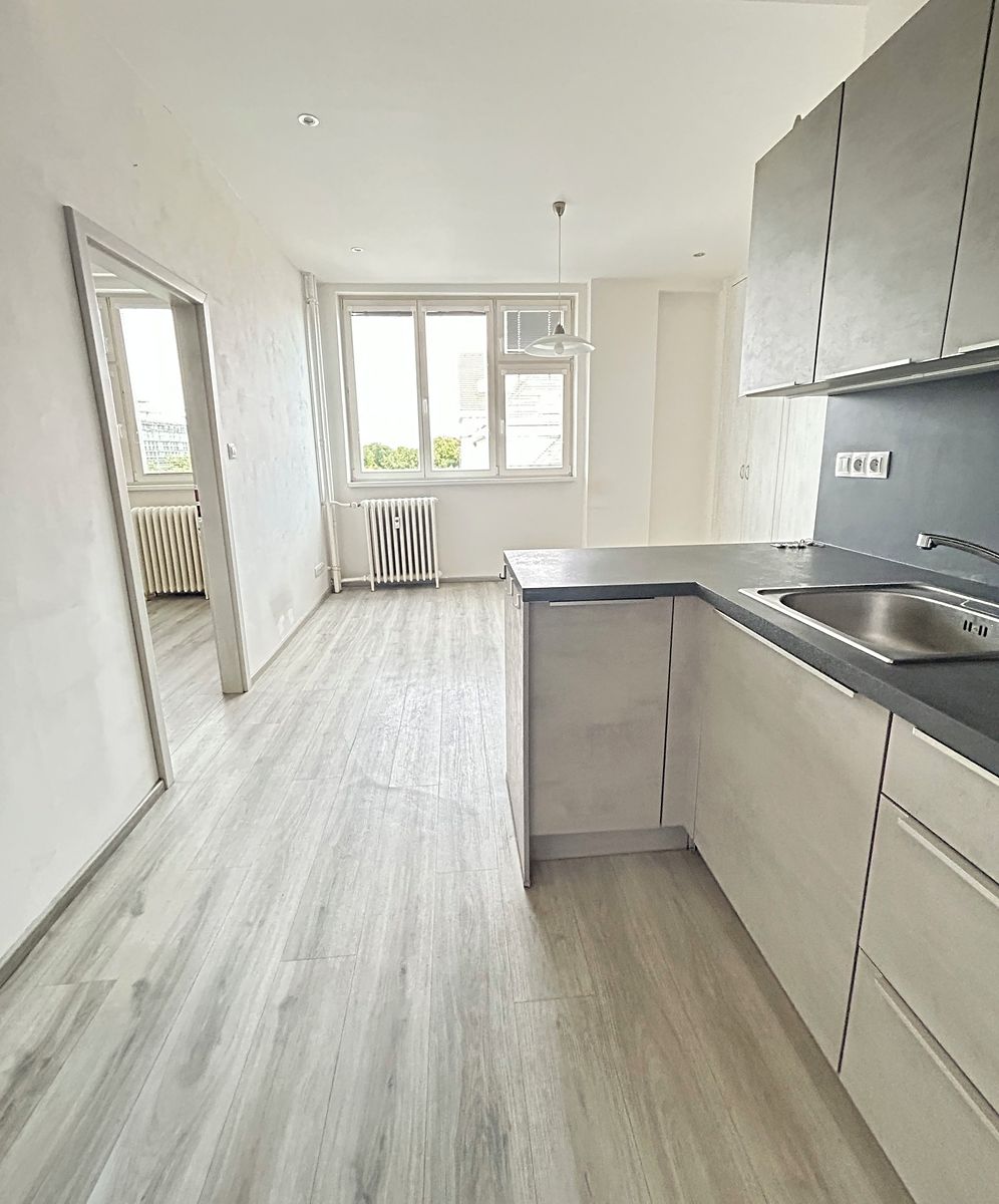 Pronájem bytu 2+kk 47 m²