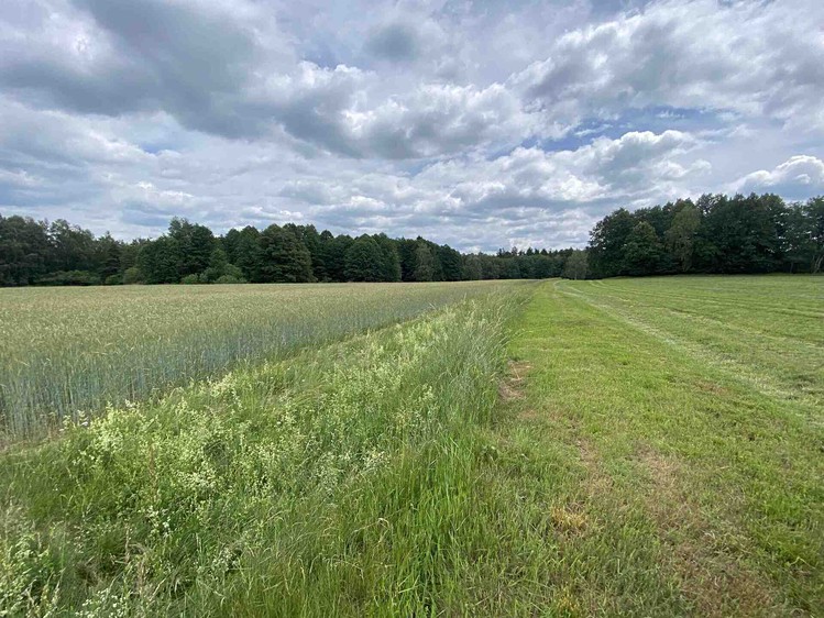 Grundstück zum Kauf, 2.087 m² (5 von 7)