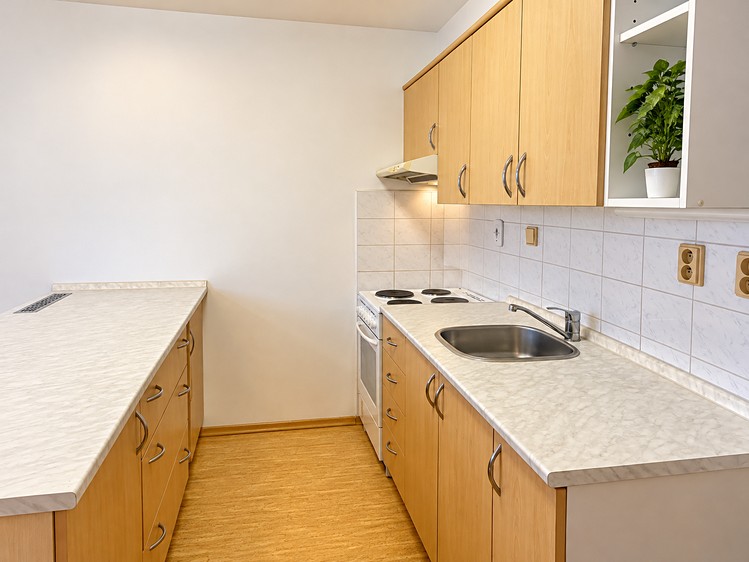 Wohnung 1+kk zur Miete, 48 m² (5 von 9)