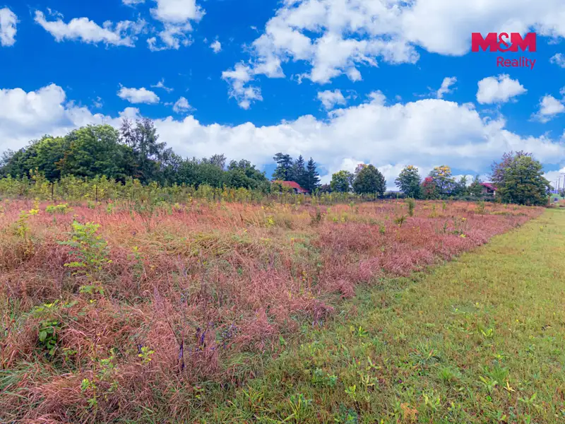 Prodej stavebního pozemku 3026 m², Kolešovice – náhled fotky 3